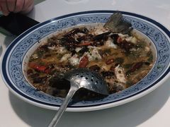 -至潮餐厅精致粤菜·活鲈鱼·走地鸡(珠江新城店)
