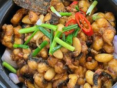 -莲花公园煎蟹(总店)