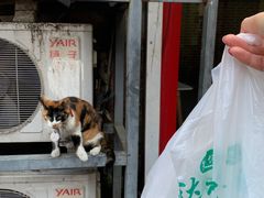 -达记卤菜店(红庙店)