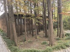 -溱湖国家湿地公园