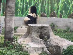-南昌动物园