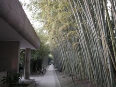 -上海市龙华烈士陵园