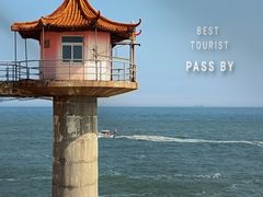 -小麦岛公园