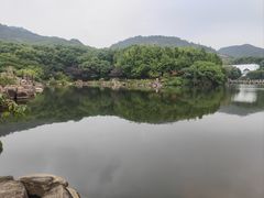 -白马涧龙池景区