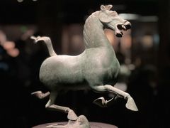 -甘肃省博物馆