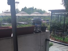 -蘇河湾·新鲁菜·泰山宴(泰山店)