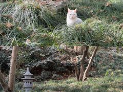-杭州上天竺法喜讲寺