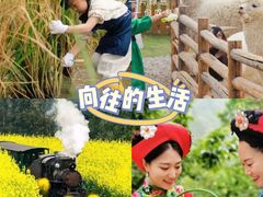 -上海山野camping·户外天幕烧烤·团建拓展营地
