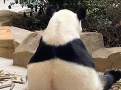 -九寨沟特色牦牛肉汤锅