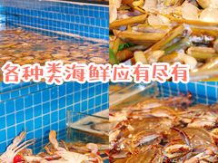 -乔哥铭洋海鲜自助(皇城恒隆广场店)