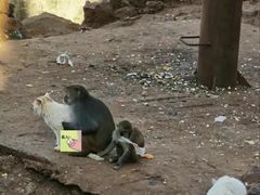 -昆明动物园