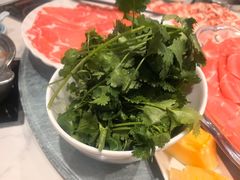 -草原传奇鲜羊火锅(桥北店)