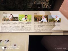 -长江文明馆