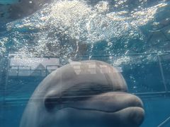 -石林冰雪海洋世界