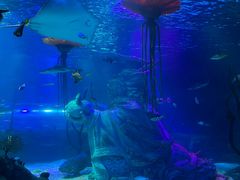 -沈阳海洋探索中心