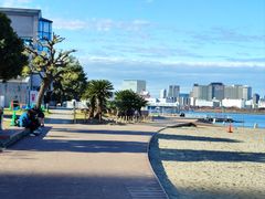 -台场海滨公园船码头