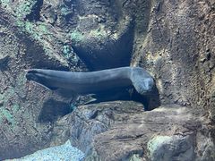 -长沙海底世界