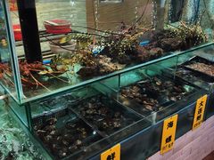-寻味顺德·南记酒家·传统顺德菜·鱼生(广源路店)