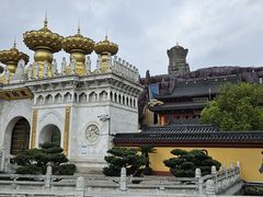 -上海东林寺(金山区)