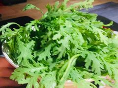 茼蒿-九鼎轩脆毛肚火锅(南京东路店)