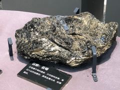 -浙江自然博物院(杭州馆)
