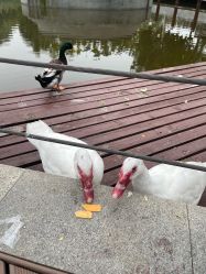 -大望京儿童游乐场