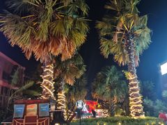 -三亚海昌梦幻海洋不夜城