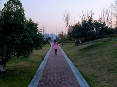 -南京眼步行桥