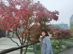 -百林公园-两江幸福广场