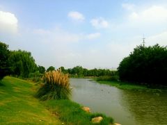 -九里河湿地公园