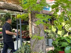 -宝鸡东道花鸟鱼虫市场(吉利花园商场店)
