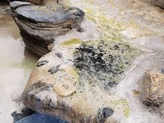 -十万大山布透温泉