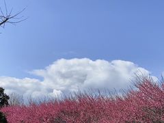 -庐山西海主景区