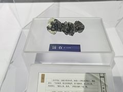 -安徽省地质博物馆