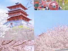 -古柏渡飞黄旅游区