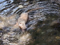 -水上乐园·欢乐世界