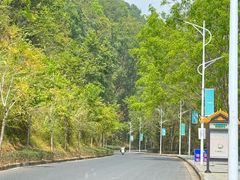 -孔雀湖生态旅游区