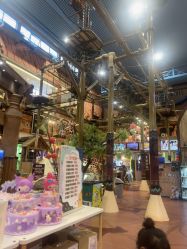 -卡通尼·Safari非洲探索乐园·生日会(金桥国际商业广场店)