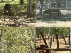 -秦皇岛野生动物园