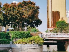 -厦门喜来登酒店