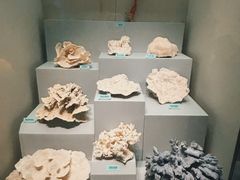 -天津自然博物馆