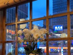 -鸟鹏烧鸟居酒屋(仁恒梦中心店)