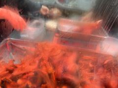-杨震卤菜旗舰店