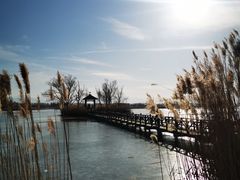 -野鸭湖国家湿地公园