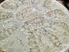 -官塘陈记鱼生·潮汕砂锅粥·牛肉火锅(潮枫路总店)