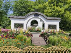 -上海共青森林公园