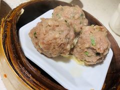 新会陈皮牛肉丸-又一间茶点轩(百汇广场店)