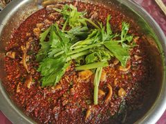 招牌红烧兔-温江公平红烧兔(总店)