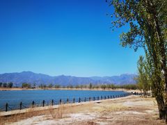 -野鸭湖国家湿地公园