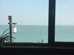 -海草馆自助餐厅(悦海店)